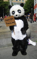 Person in panda costume holding sign: 'Choose your fianc&eacute;e, boy'